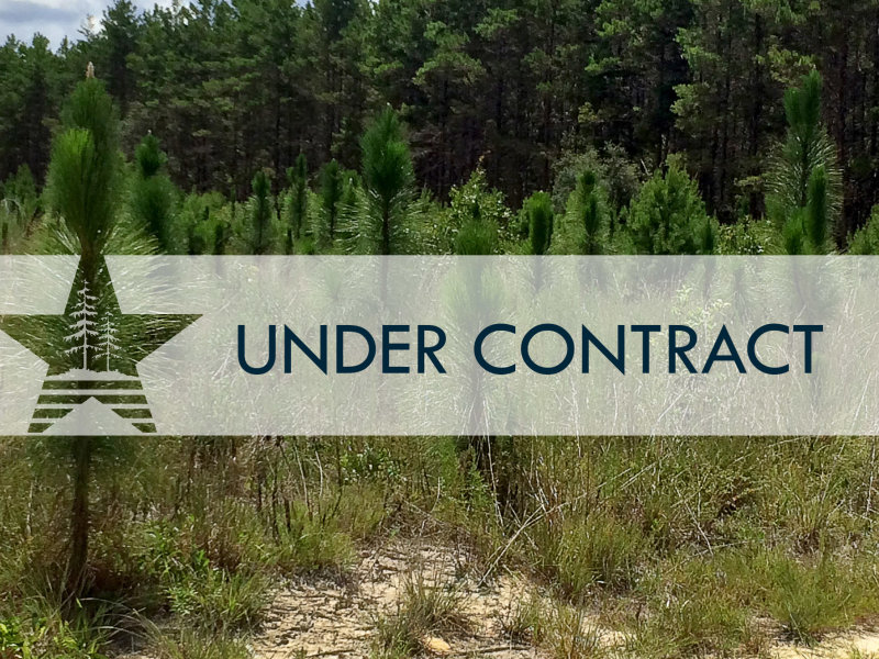 TELOGIA UNDER CONTRACT IMAGE